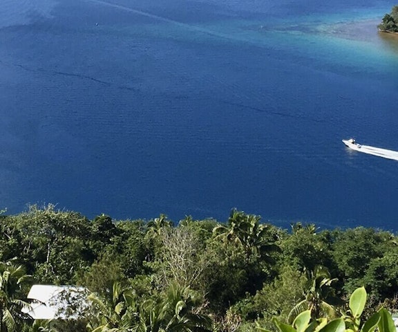 Trinidad en Tobago dochteronderneming