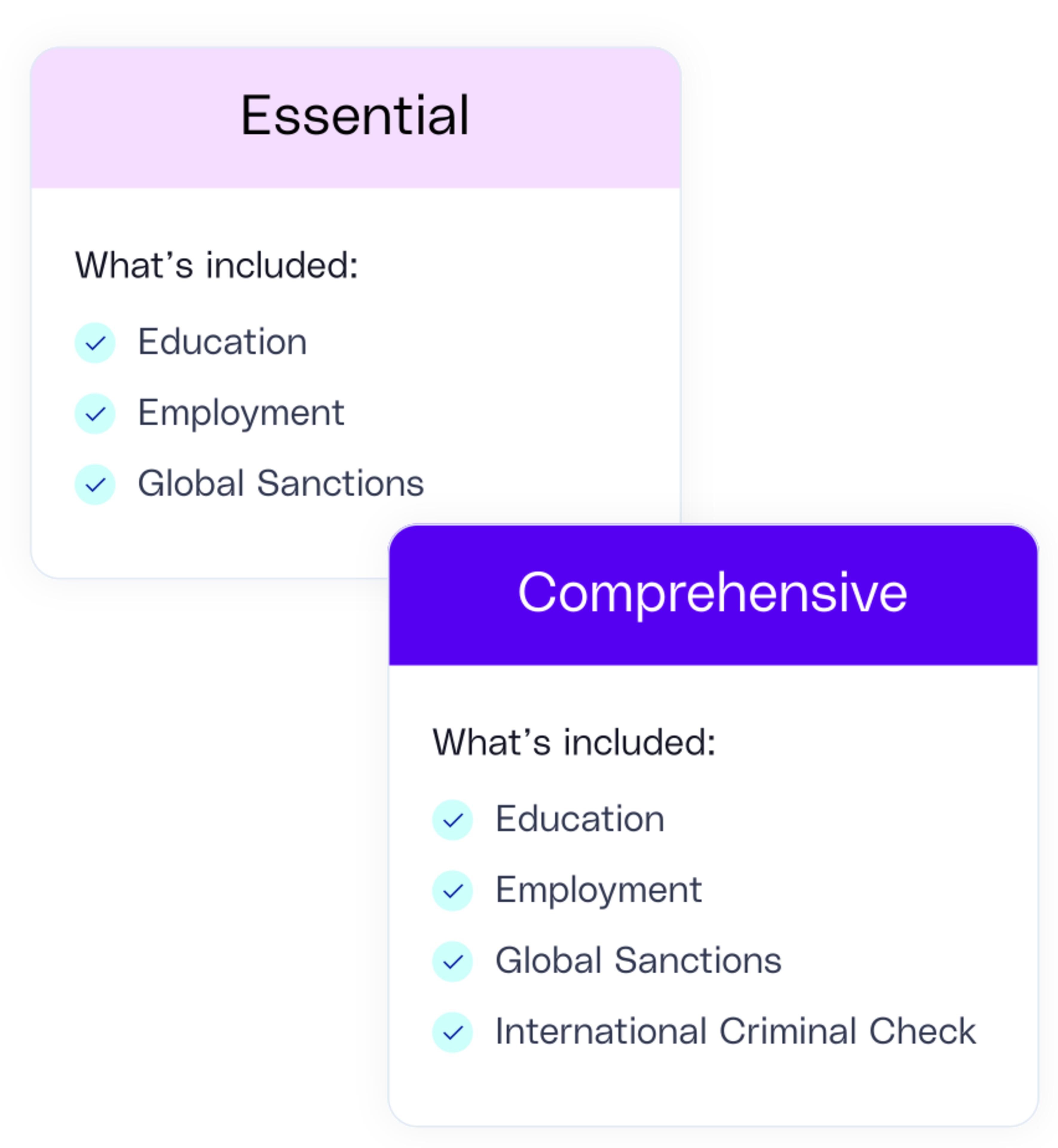 Essential Comprehensive Background Checks