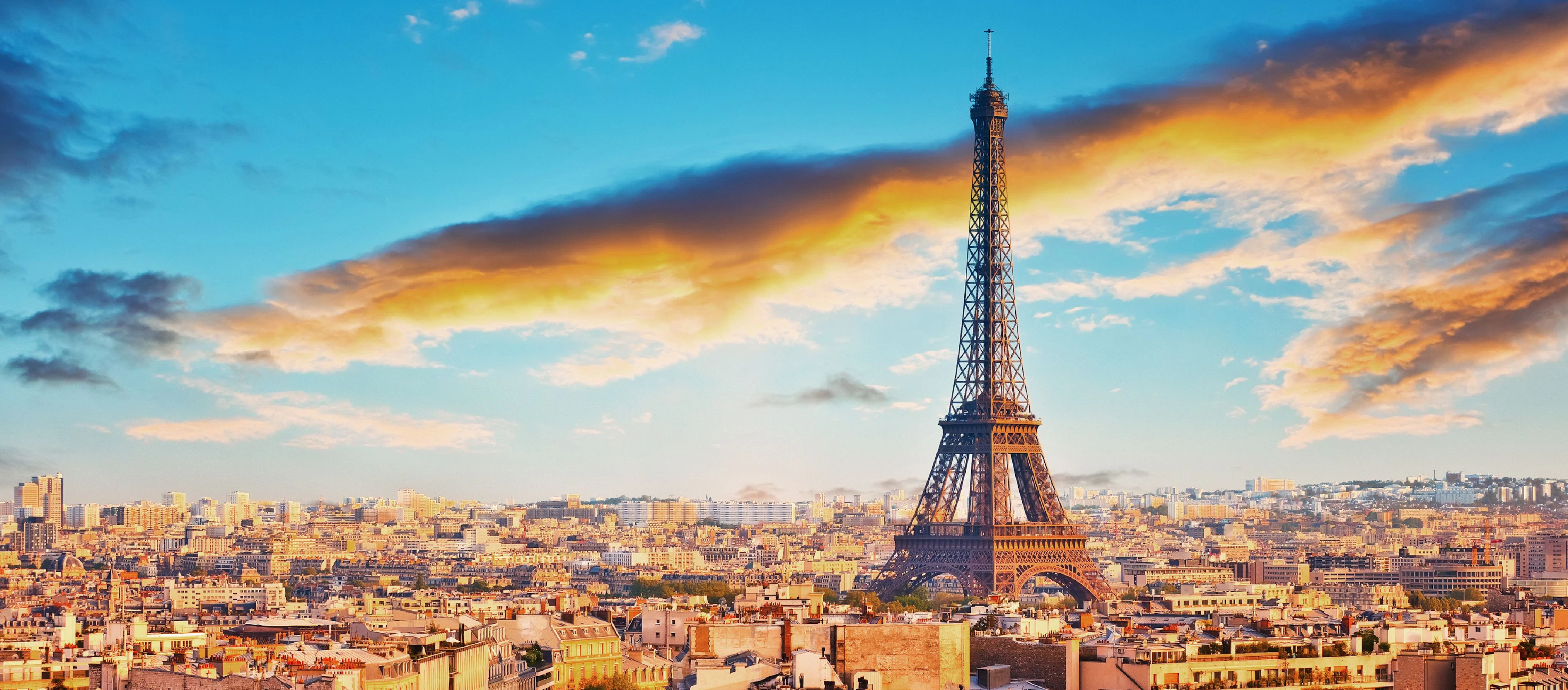 Alt text not provided