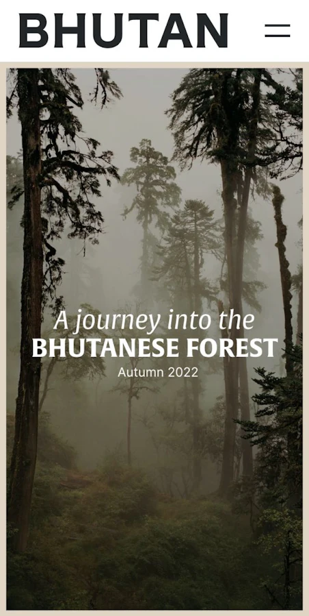 A scenic photograph of a dense forest with tall trees and a foggy atmosphere.