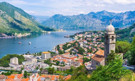 Montenegro Subsidiary