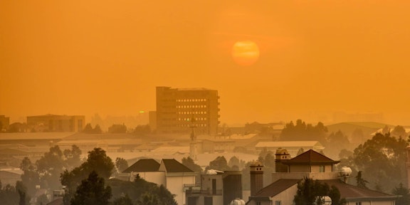 에티오피아 자회사