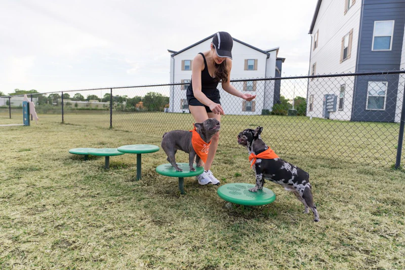A woman playing with two dogs at an outdoor pet play area