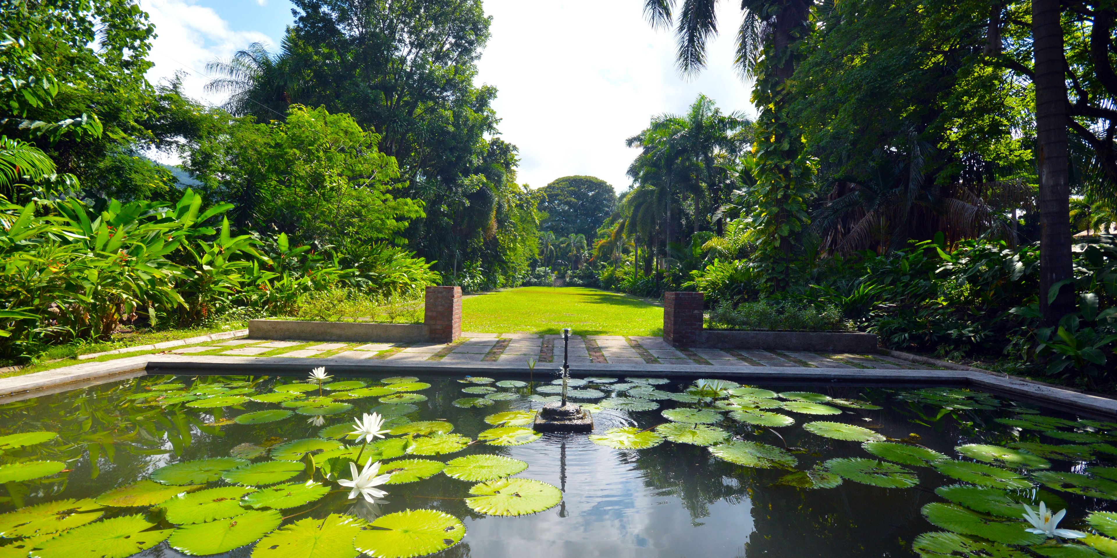 Jamaica Tourist Board Image 6