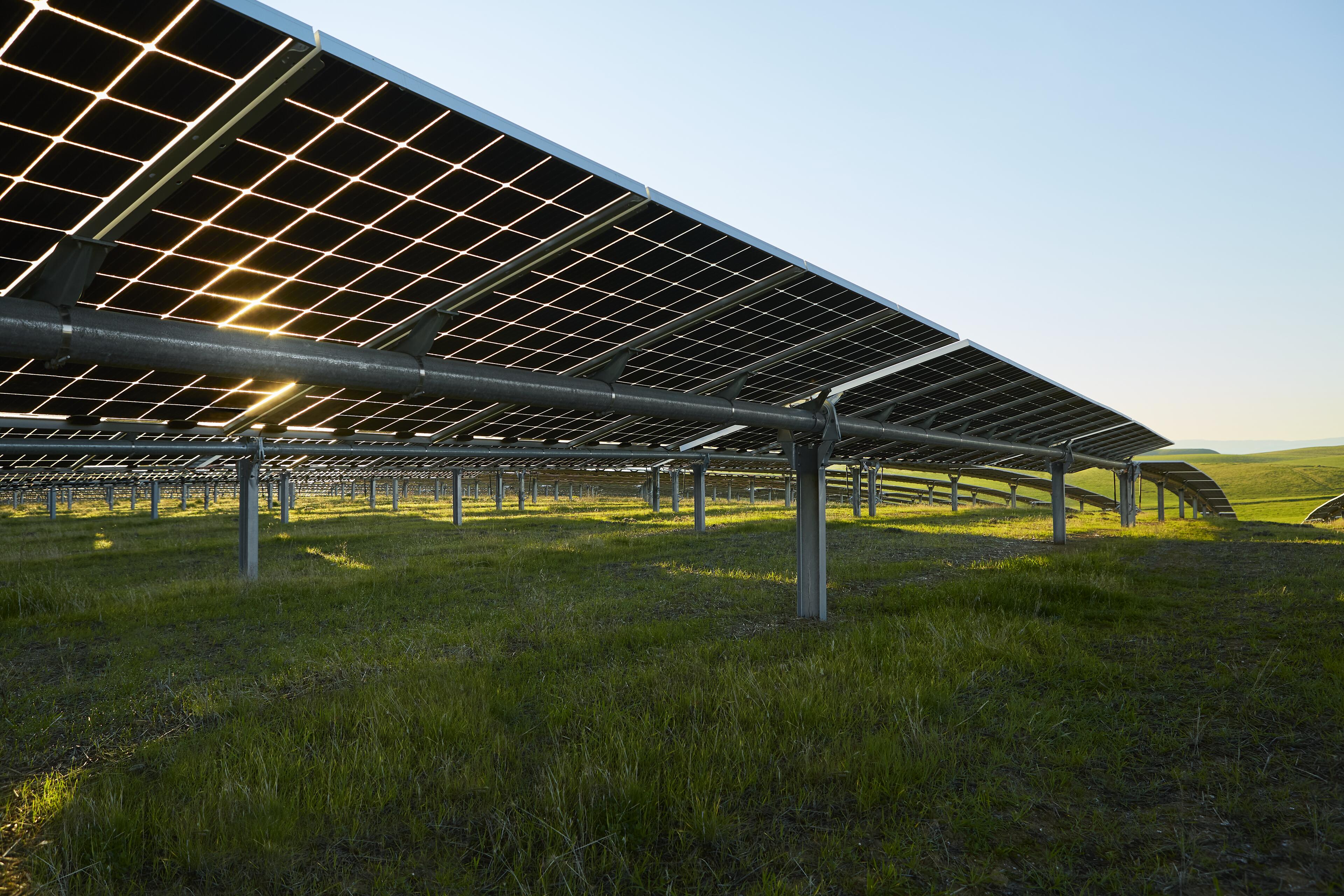 This image shows a large solar power plant with rows of solar panels covering a vast grassy field. The solar panels are arranged in a grid pattern, with black panels supported by a metal frame structure. The panels are angled to capture sunlight, and the overall layout suggests an efficient and organized solar energy generation system. In the background, there are rolling hills and a clear blue sky, creating a scenic and natural setting for the solar farm. The image conveys a sense of renewable energy production and environmental sustainability, with the solar panels harnessing the power of the sun to generate clean electricity.