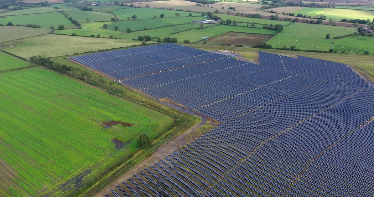 Image Attributed to: 
