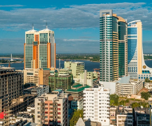 坦桑尼亞子公司