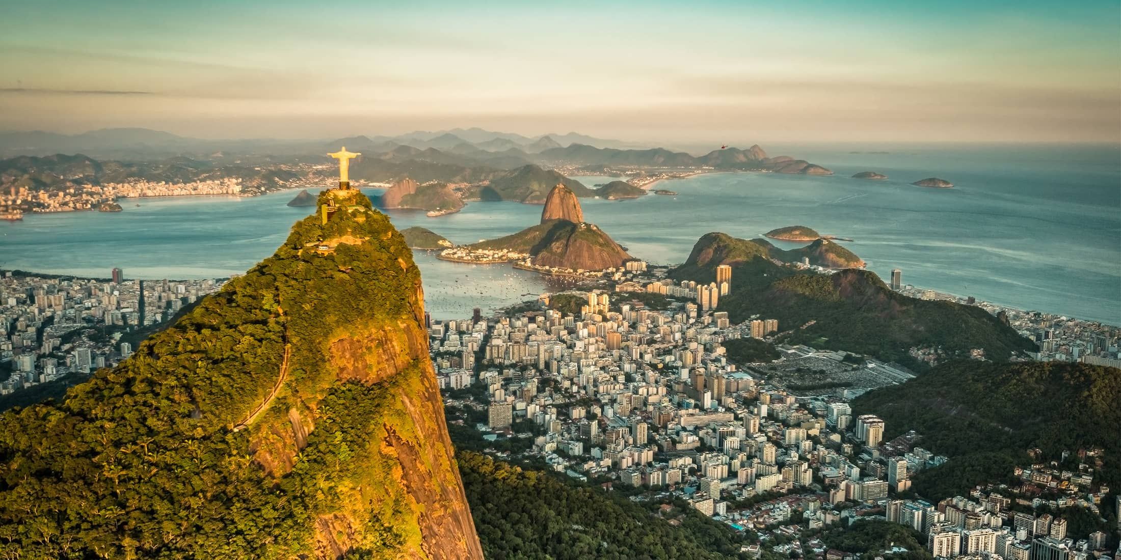 Alt text not provided