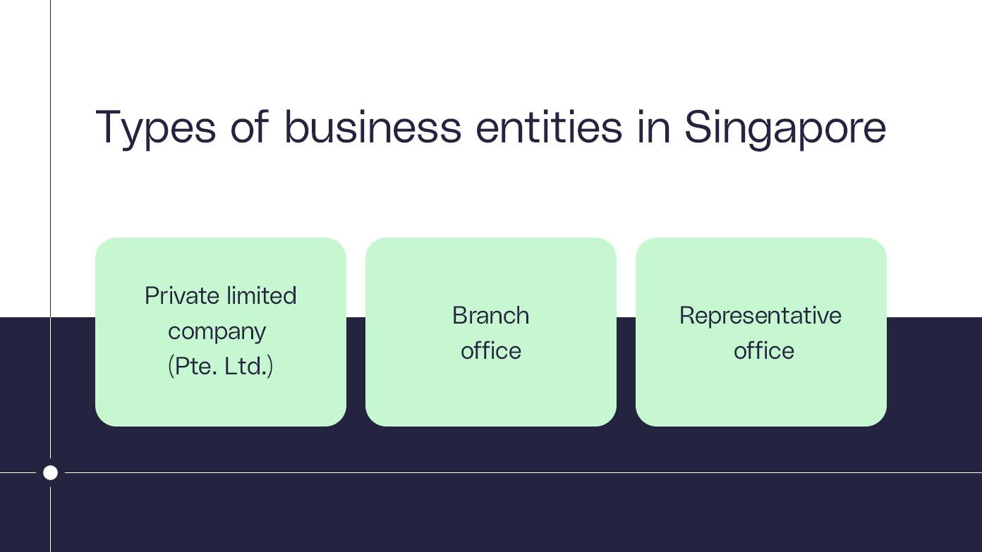 싱가포르의 사업체 유형