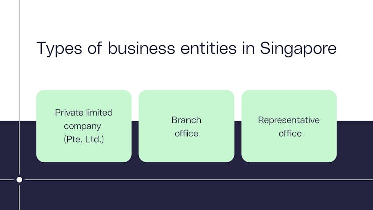 tipi di entità commerciali a Singapore