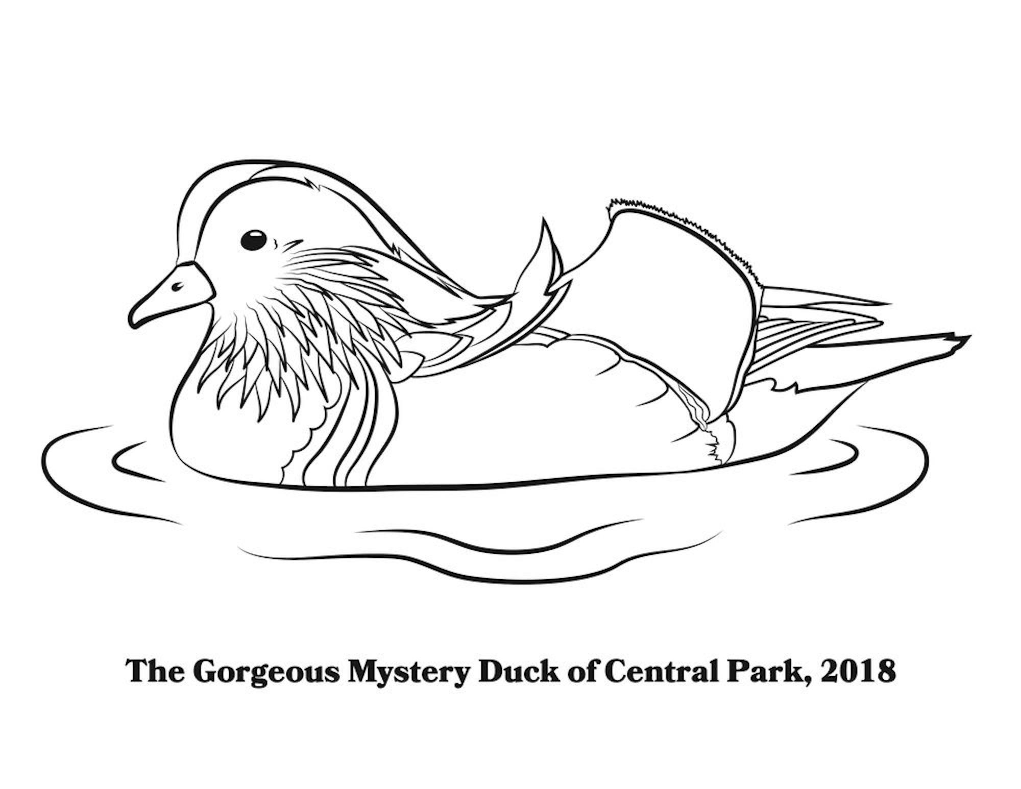 Artist: Jen Lewis
Instagram: https://www.instagram.com/thisjenlewis/
Website: https://www.jenlewis.website/
Hot Duck Information: https://www.thecut.com/2018/11/everyone-loves-the-hot-duck.html