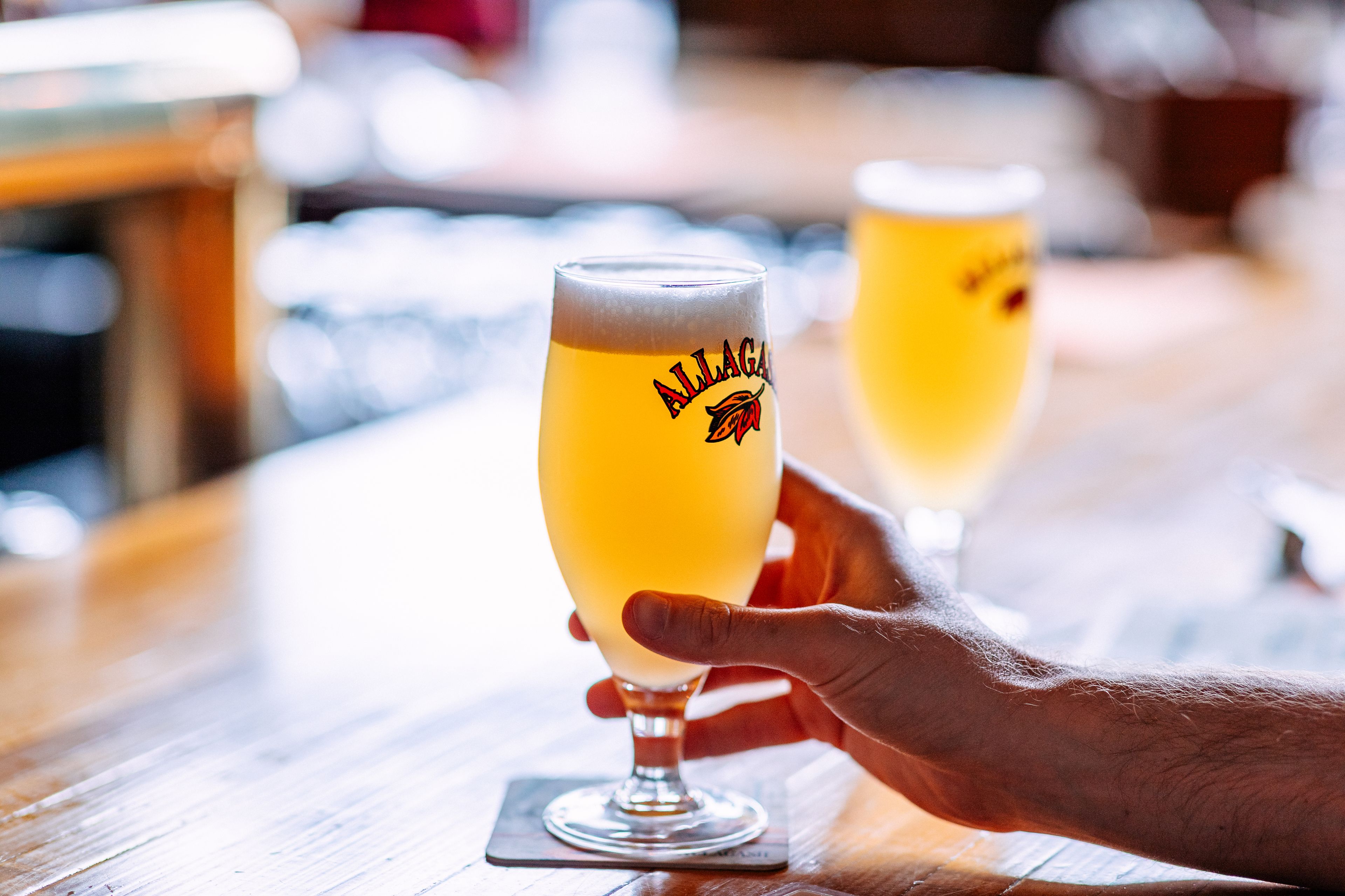 Cover for Allagash Brand Assets board