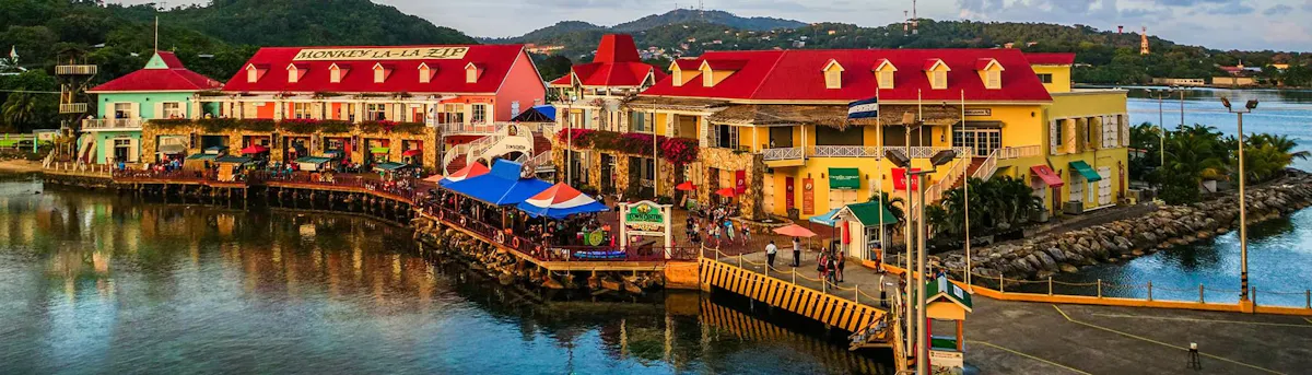Honduras Subsidiary​​ 