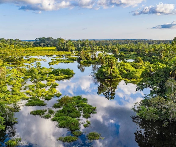 剛果民主共和國子公司