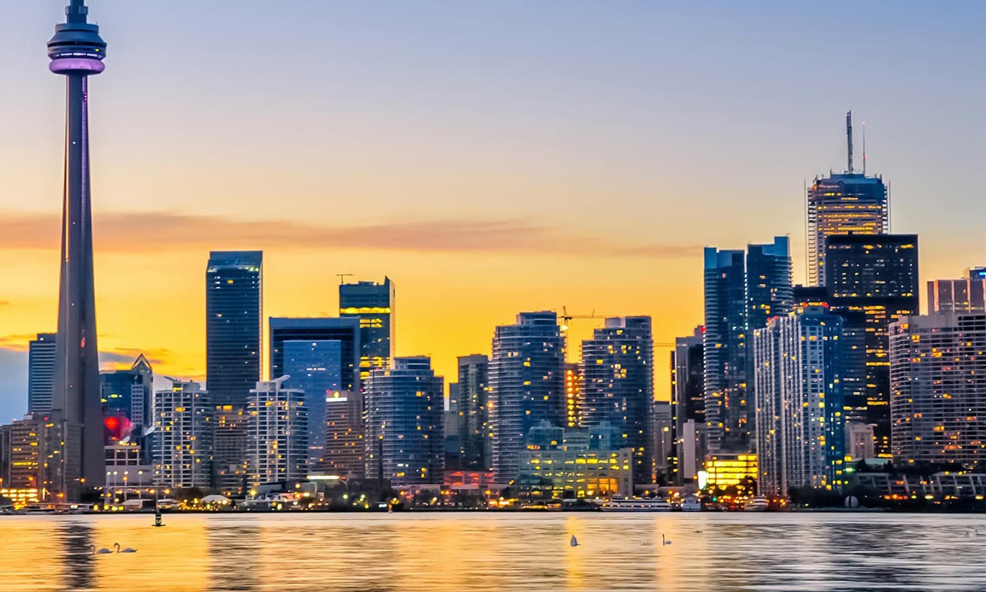 Alt text not provided