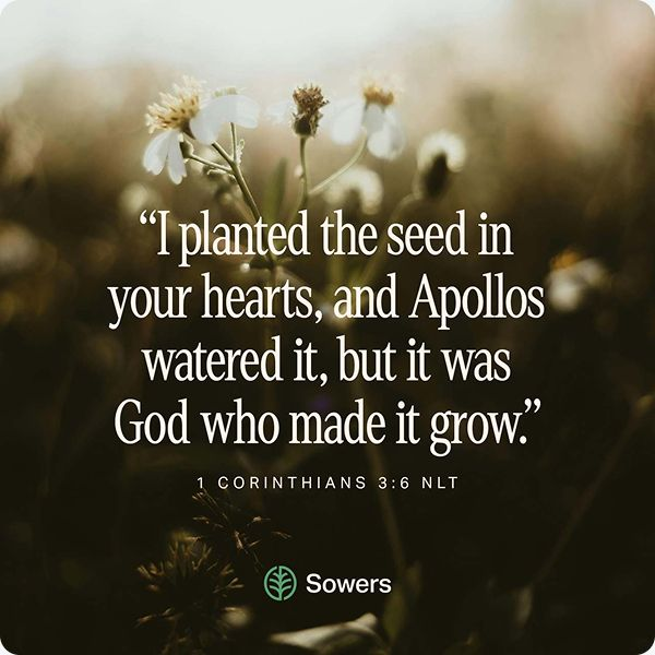 1 Corinthians 3:6