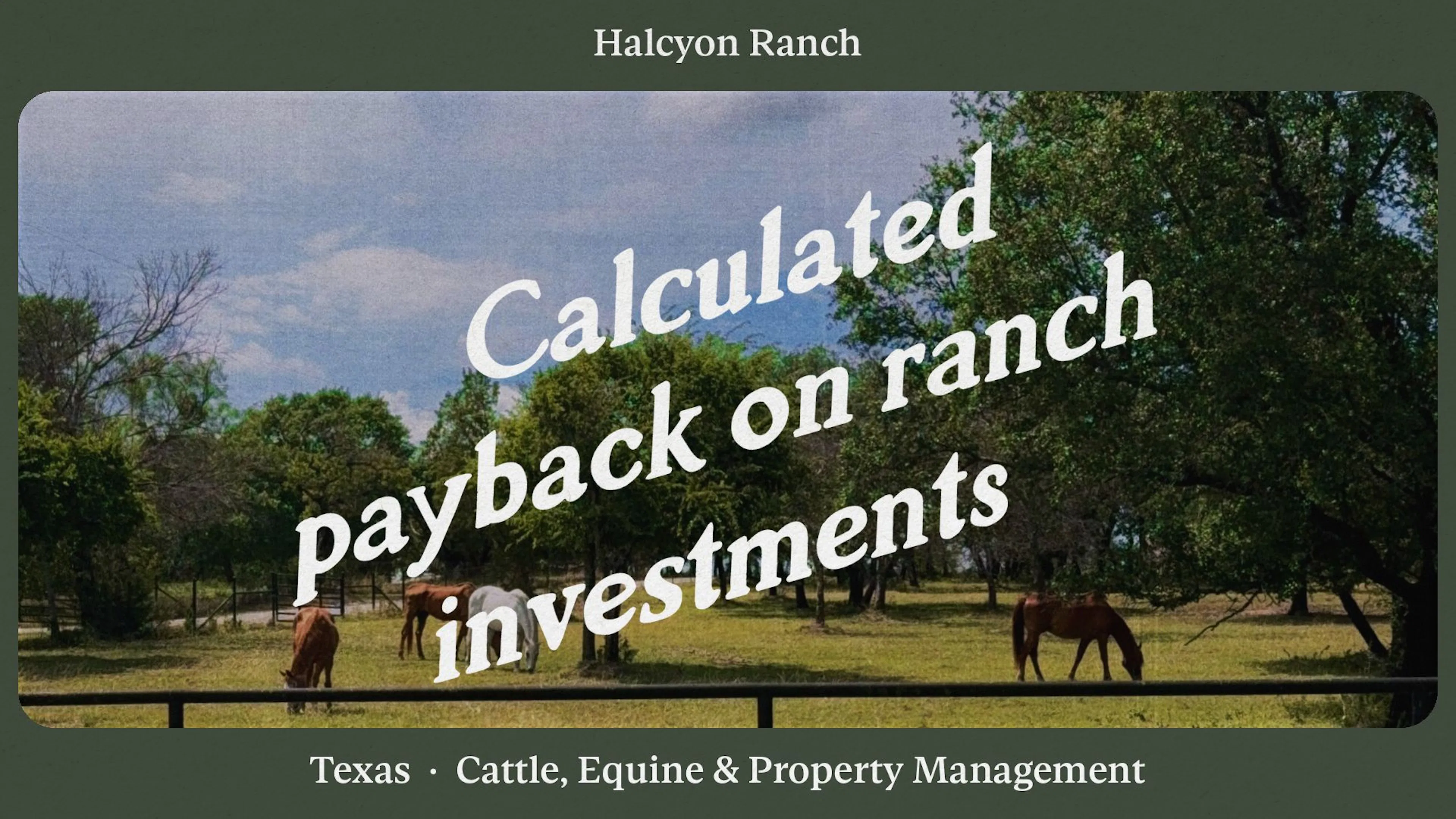 How Halcyon Ranch calculated an 18-month payback on ranch investments