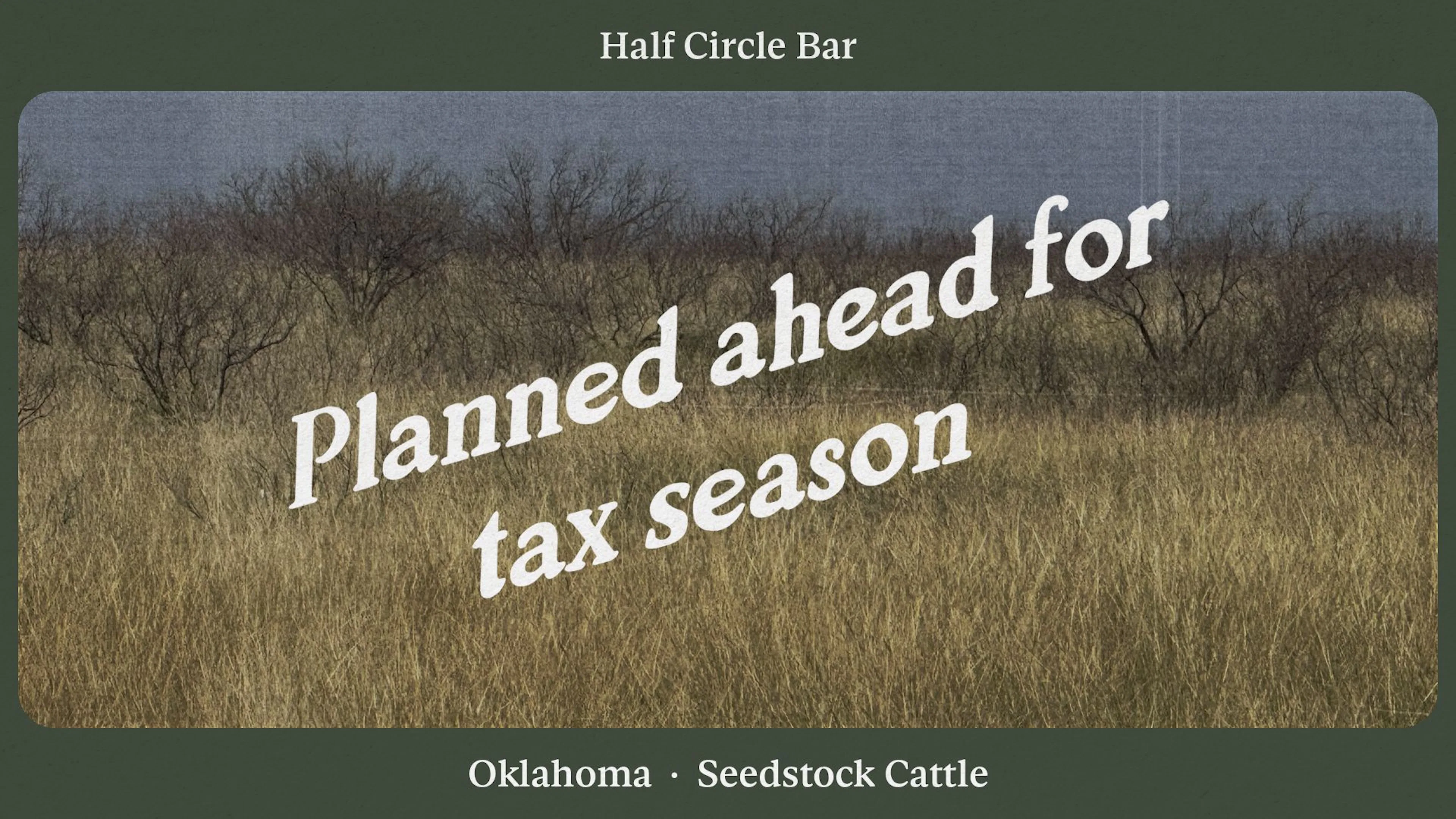 How Half Circle Bar went from year-end tax scramble to year-round plan