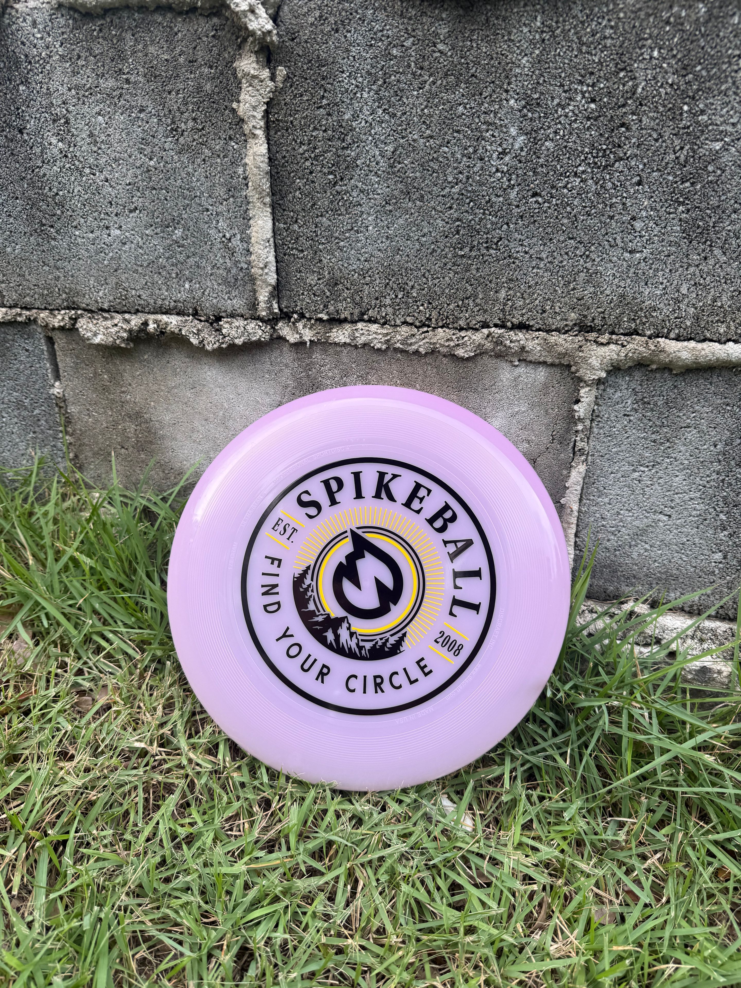 SpikeDisc turned purple in the sunlight resting on grass against a stone wall