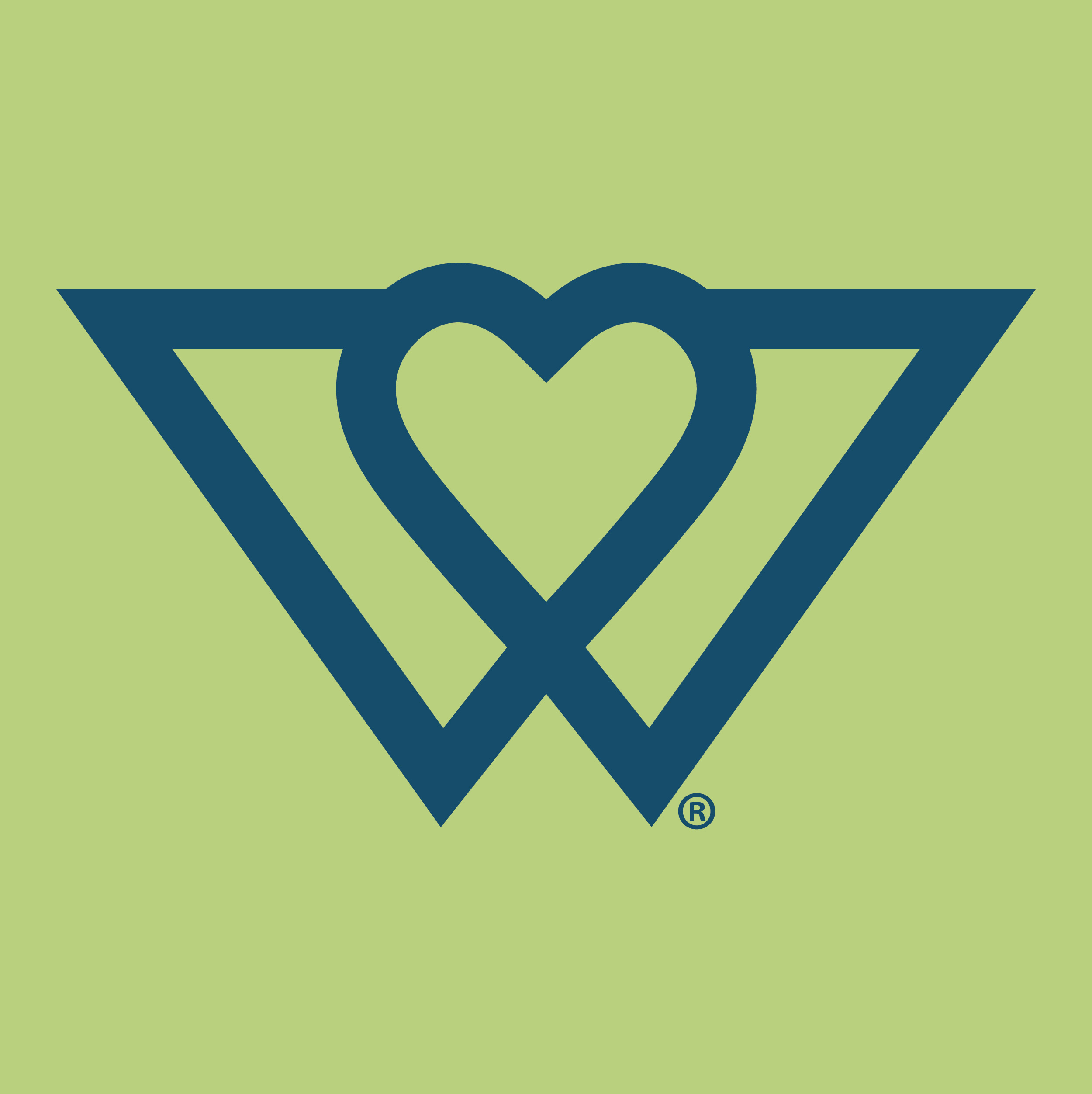 Logo for Wondercide