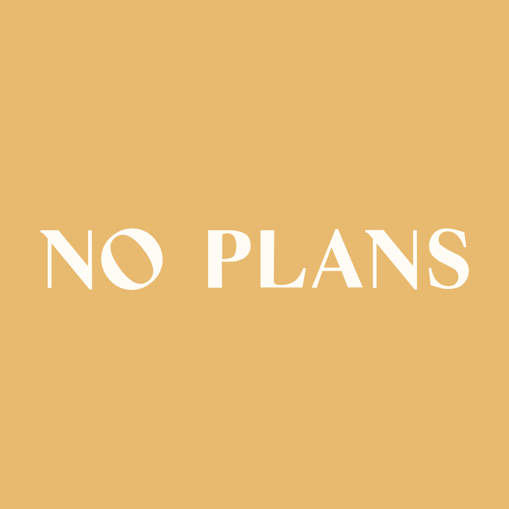 Logo for No Plans