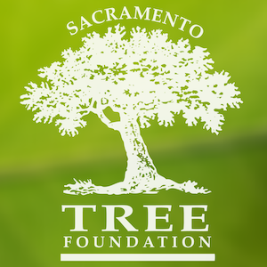 Logo for Sacramento Tree Foundation